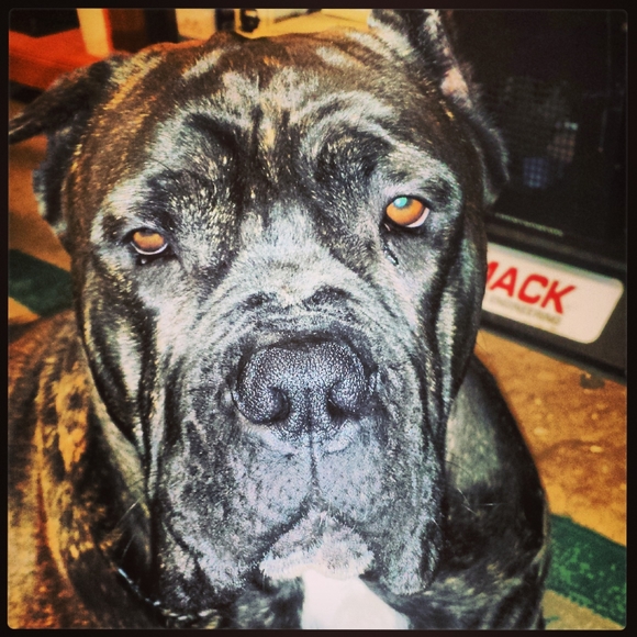 Meet your Posher, Carrie - Picture 4 of 11